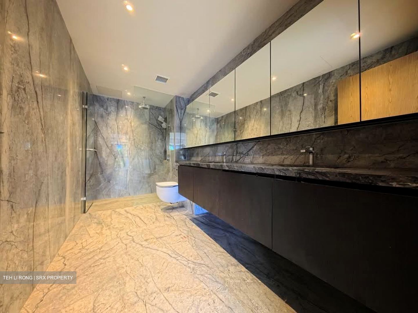 Shrewsbury Road (D11), Terrace #577114821